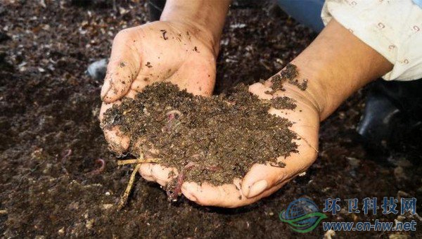每20噸不值錢的濕垃圾，可以轉(zhuǎn)換成1噸售價在1萬多元的蚯蚓活體