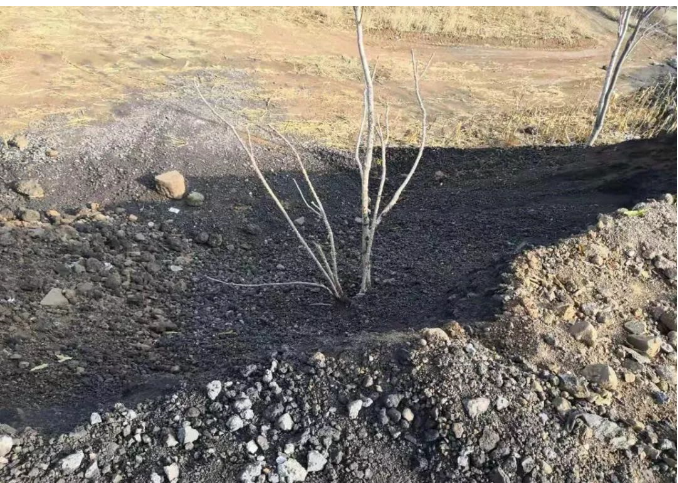 1542853586828599.png 1542853586828599.png