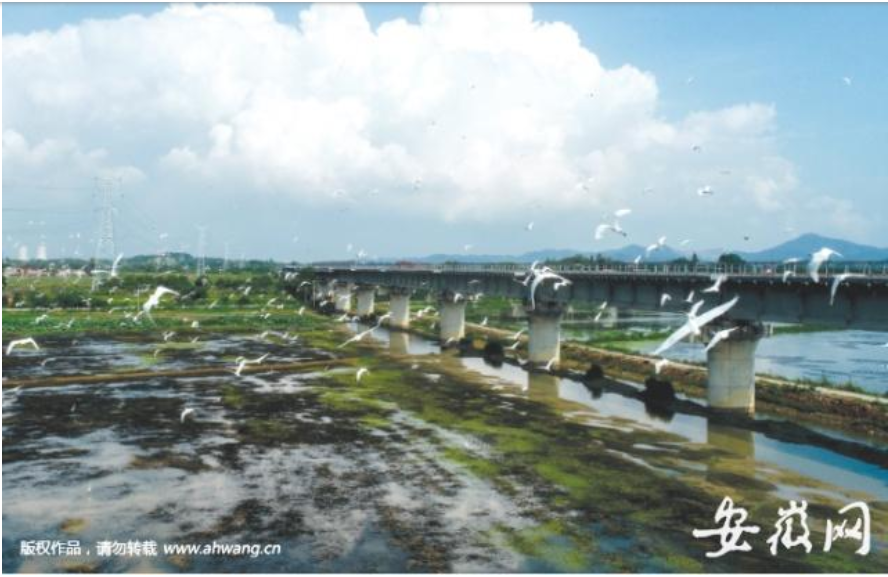 1550804489147357.png image.png