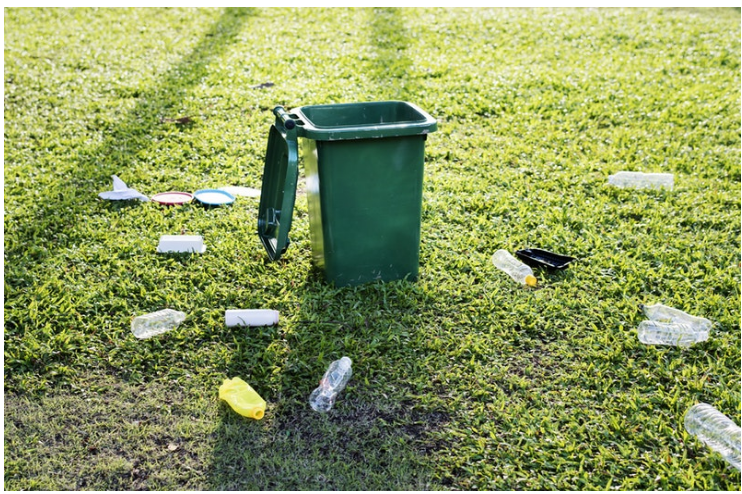 1551430787675103.png 1551430787675103.png