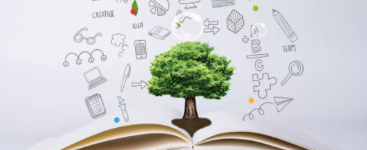 1554687013731406.png image.png