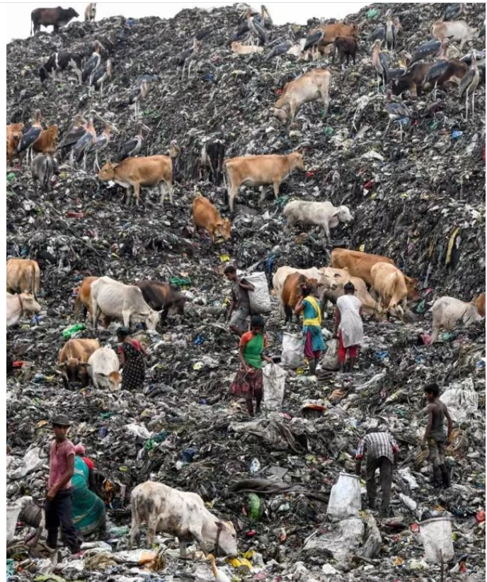 1560132563492727.png 1560132563492727.png