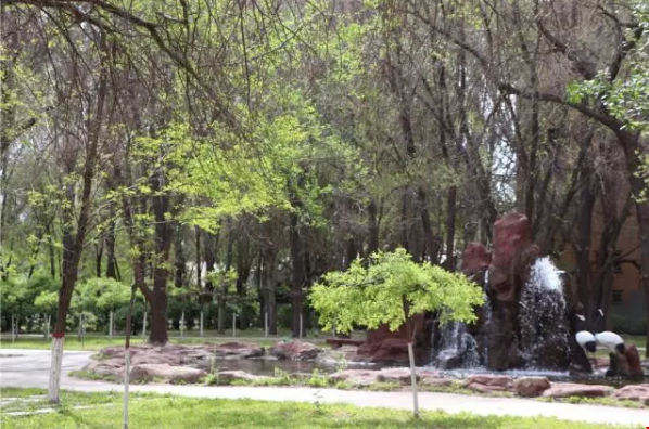 1562811453248895.png 微信截圖_20190711101541.png