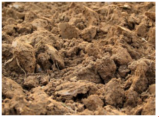 1563434954544795.png 1563434954544795.png