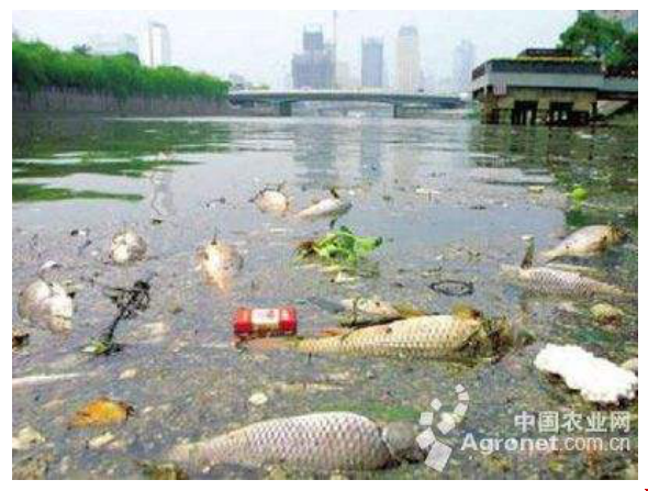 1563434822555635.png 1563434822555635.png