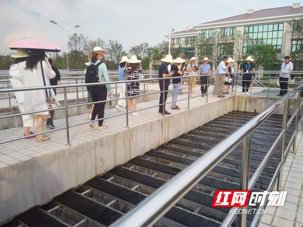 1564370855363206.png image.png